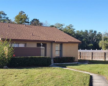 809 Park Villa Circle, Orlando