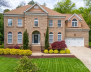 207 Pear Tree  Court, Fort Mill image