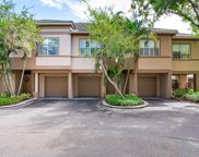 810 Normandy Trace Road, Tampa image