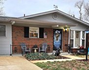 10426 Fourwinds  Court, St Louis image