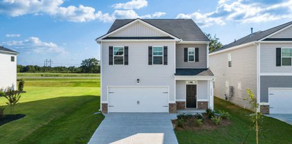 2089 SALTWATER Bend, Beech Island