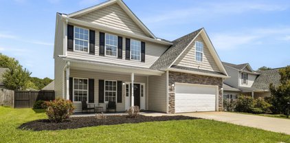 3 Milo Court, Simpsonville