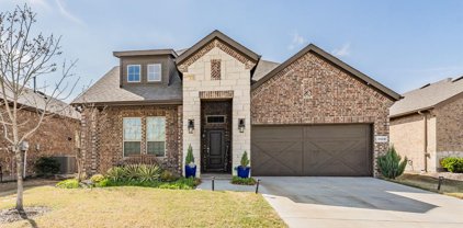 7412 Twisted Thicket  Lane, Little Elm