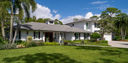 14165 Banded Racoon Drive, Palm Beach Gardens