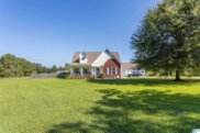2937 Kelly Creek Road, Odenville image