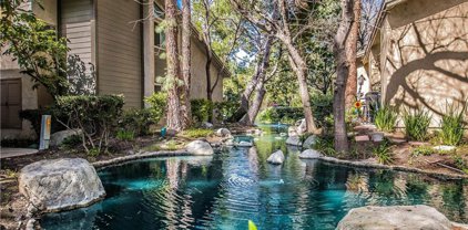 4900 E Chapman Avenue Unit 110, Orange
