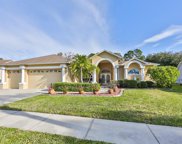 1226 Middlesex Drive, New Port Richey image