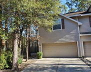 271 Liriope Court, The Woodlands image