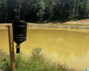 Copper Springs Road, Odenville image
