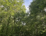 000 Mountain Springs Road, Ashville image