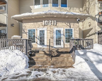 10211 Cedar Lake Road Unit #316, Minnetonka
