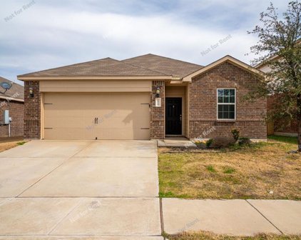 6020 Spring Ranch  Drive, Fort Worth