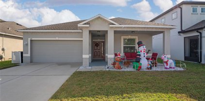 167 Cambria Grove Circle, Davenport