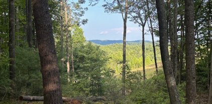 27 Wilderness Reserve Parkway, Deep Gap