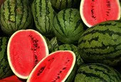 Grand Bay Watermelons