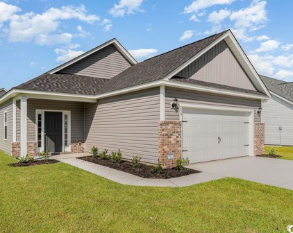 239 Chestnut Farms Dr., Conway
