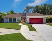11307 Hollyglen Drive, Tampa image