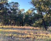 47 Silver Feather Trail, Pecos image