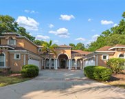 6222 Wild Orchid Drive, Lithia image