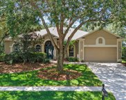 636 Cheviot Court, Apopka image