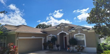 2056 Clapper Trail, Apopka