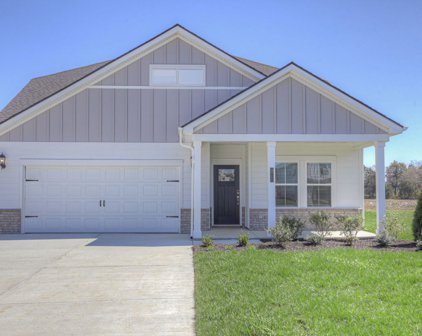 3711 Bonnie Blue Ct, Rockvale