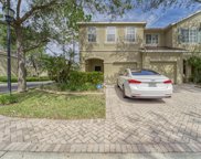 10606 Shady Falls Court, Riverview image