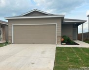 155 Rock Nettle, New Braunfels image