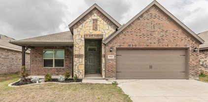 9920 Norway Spruce  Trail, Fort Worth