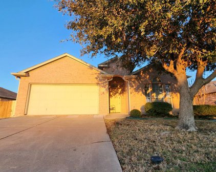 5954 Mountain Home  Lane, Fort Worth
