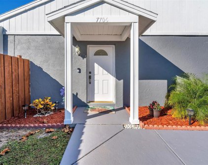7706 Citronella Court, Tampa