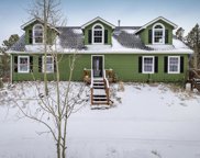 33811 Skyline Drive, Golden image