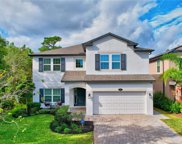 1531 Leaf Flower Lane, Lutz image