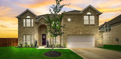 809 Blue Heron  Drive, Forney