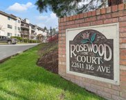 22611 116 Avenue Unit 319, Maple Ridge image