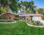 1204 Lady Guinevere Drive, Valrico image