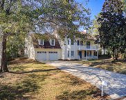 207 Birkhill, Peachtree City image