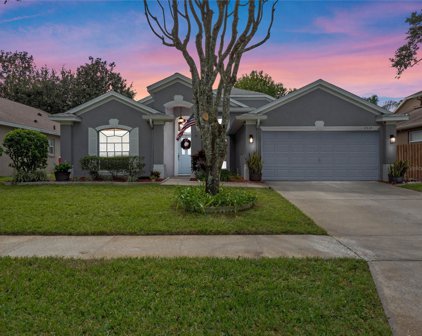 2537 Walnut Heights Road, Apopka