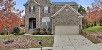 3134 Brookview Forest Dr, Nashville