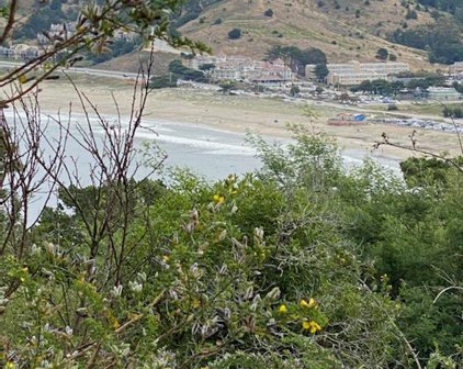 00 OLYMPIAN, Pacifica