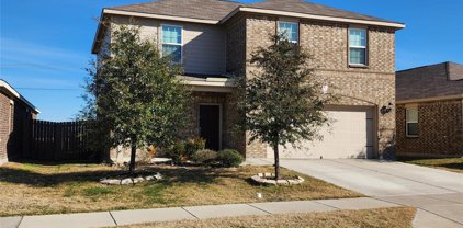 6008 Spring Ranch  Drive, Fort Worth