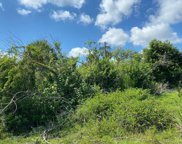 1320 Charlana Street, Punta Gorda image