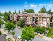 12525 190a Street Unit 303, Pitt Meadows image