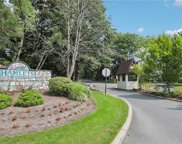 251 Treetop Circle, Nanuet image