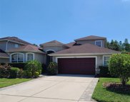4126 Knollpoint Drive, Wesley Chapel image