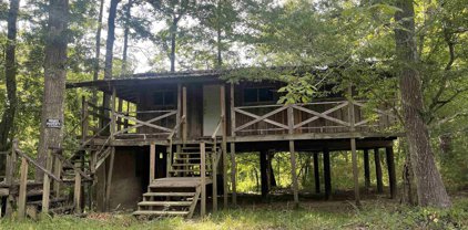 205 Connolly, Vidor
