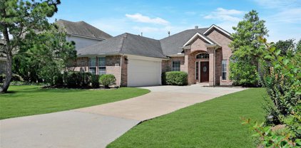 19123 Caribou Ridge Drive, Tomball