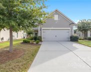 317 Fruitful  Drive, Fort Mill image