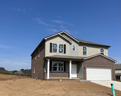 807 Hydrangea, Smyrna