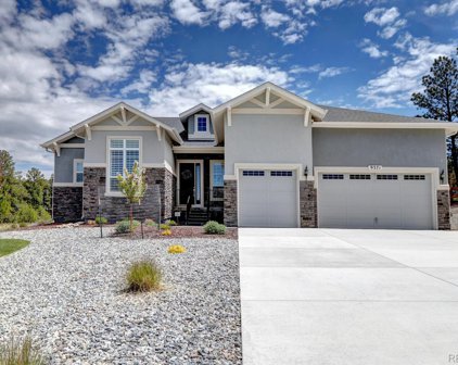 9371 Lone Timber Court, Parker